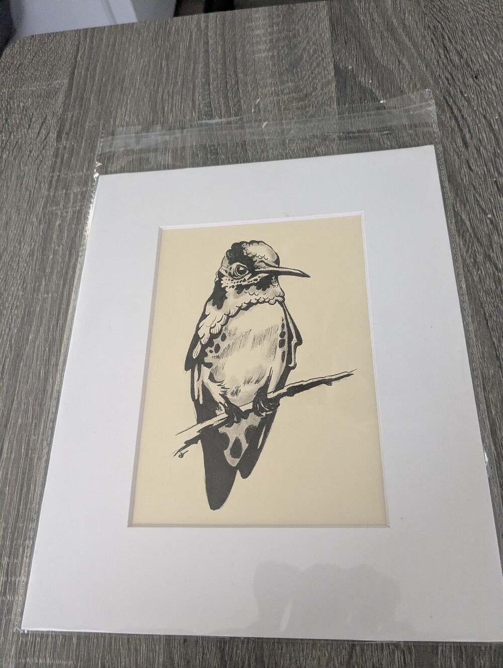 Bird Illustration Wall Art Original in Black and Cream